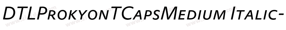 DTLProkyonTCapsMedium Italic字体转换